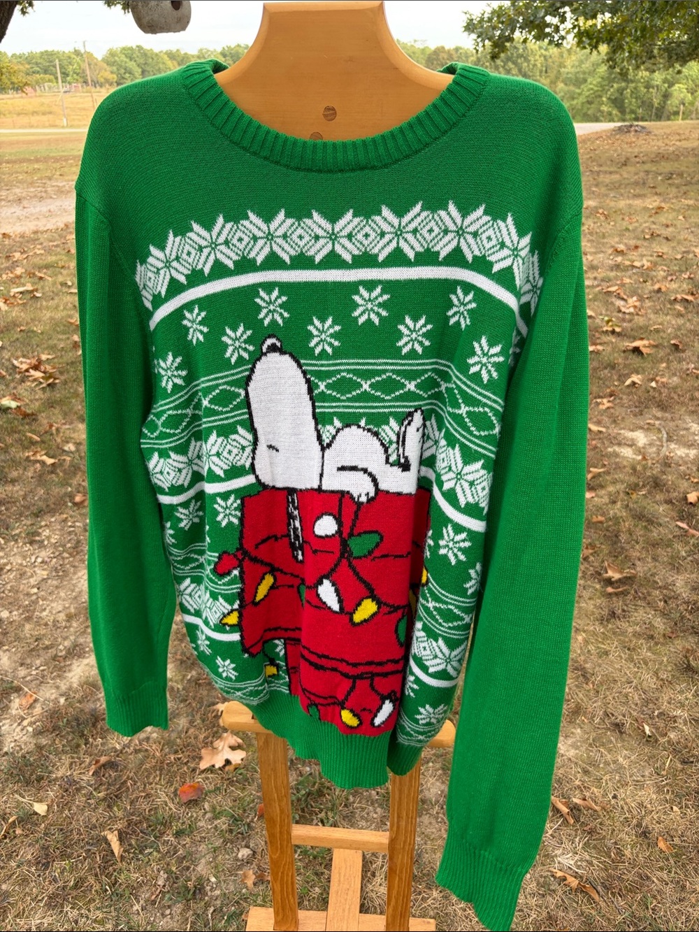 Peanuts Green Snoopy Holiday Crewneck Sweater with Red Gift Detail